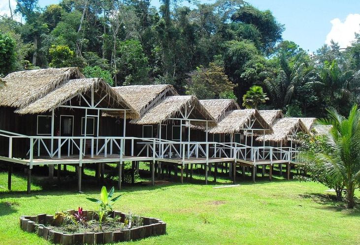 Riverfront cabins on stilts under thatched roofs