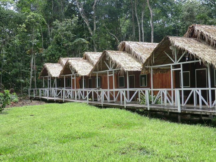 The cabins from the lawn, forest closing in behind them