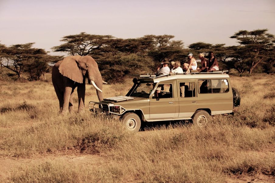 An elephant walking past a safari vehicle with guests aboard, in the Kenyan bush