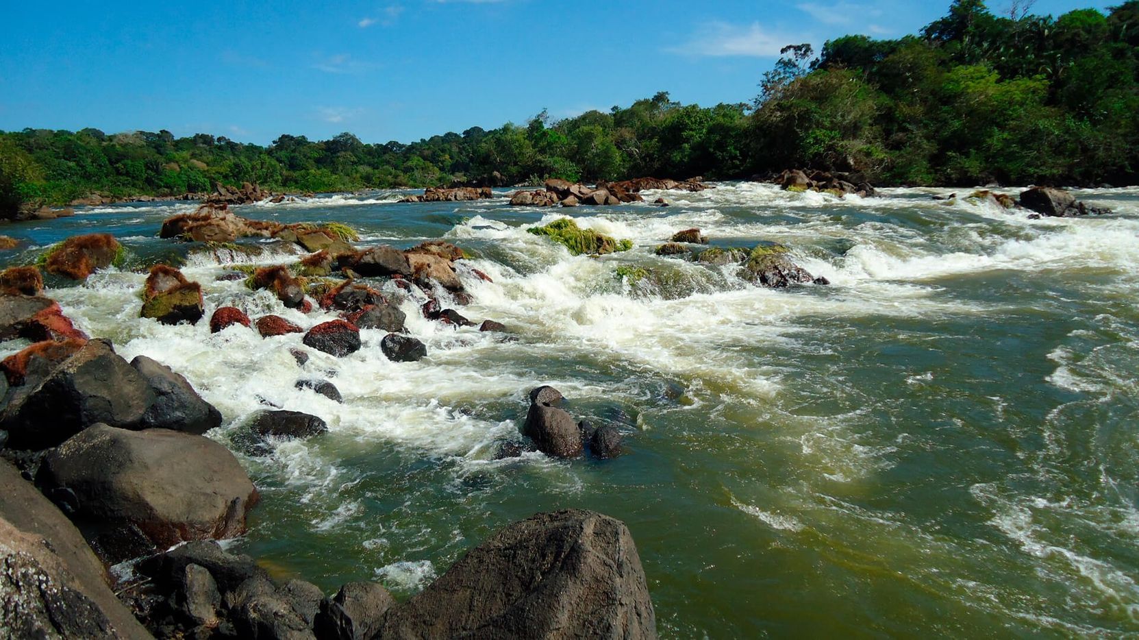Rapids running between boulders on the Roosevelt, forest on both banks