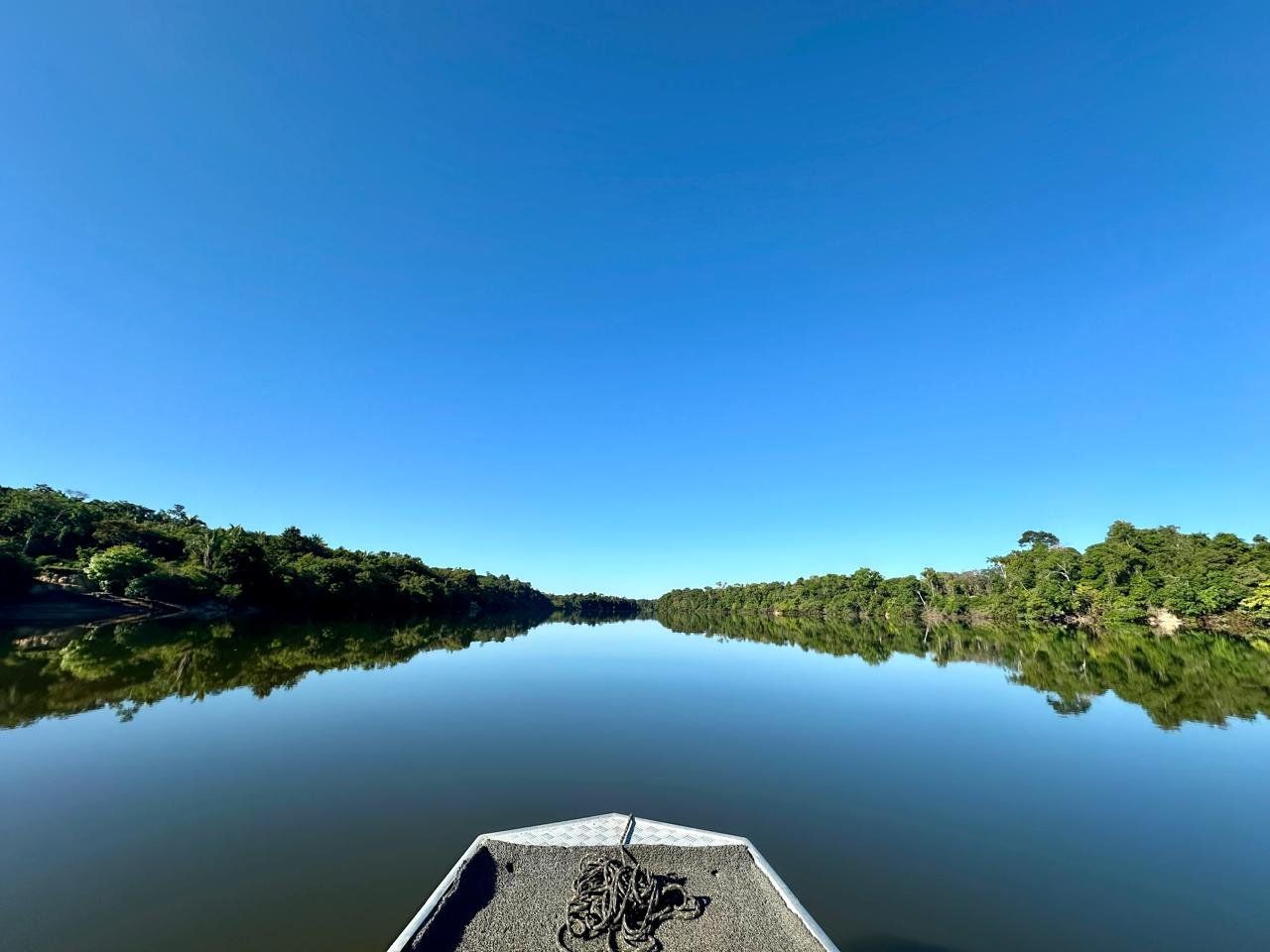 The bow of a boat on flat water at first light, forest on both banks of the Roosevelt